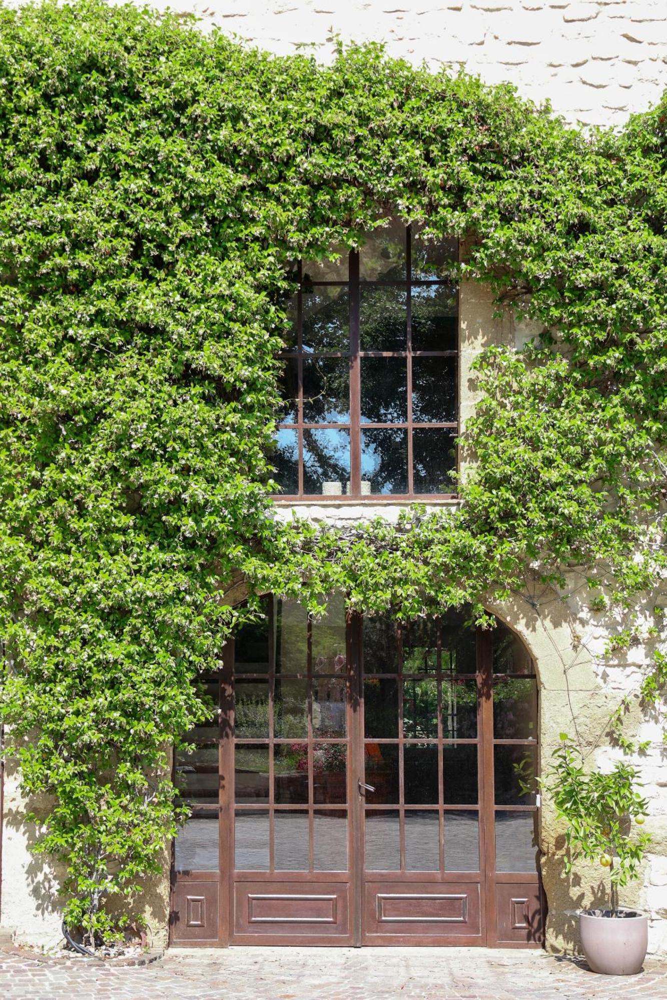 Domaine Du Moulin De Villefranche 佩尔纳勒丰泰纳 外观 照片